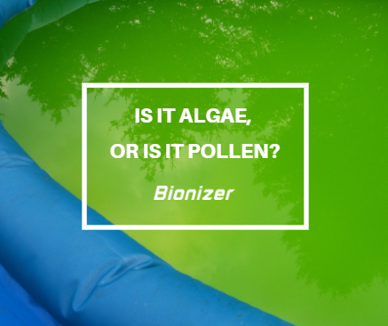 Is it Algae, or is it Pollen? – Bionizer